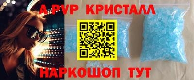 эйфоретик Кингисепп