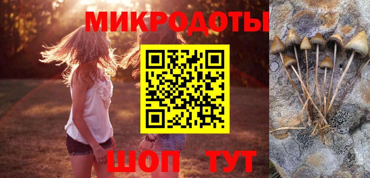Галлюциногенные грибы Magic Shrooms  Вход с VPN  Дюртюли 