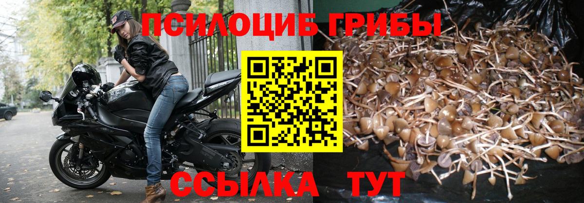 Галлюциногенные грибы Cubensis Дюртюли